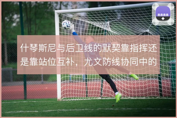 什琴斯尼与后卫线的默契靠指挥还是靠站位互补，尤文防线协同中的角色取舍