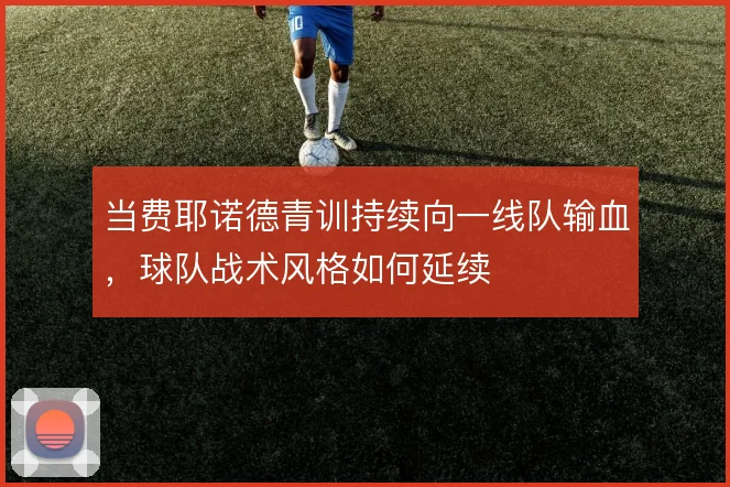 当费耶诺德青训持续向一线队输血，球队战术风格如何延续